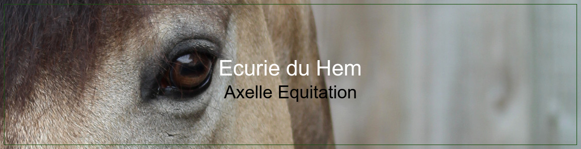Ecurie du Hem